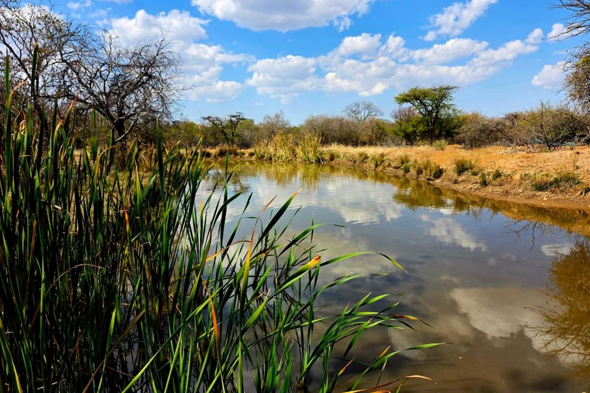 Farm For Sale in Mookgopong Rural - Photo 5