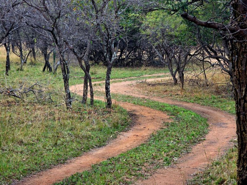 Farm For Sale in Mookgopong Rural - Photo 7