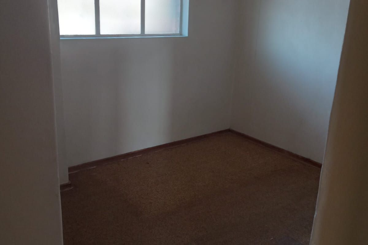 A vacant bedroom featuring carpeted flooring, a ceiling fan, and a multi-pane window providing natural light.