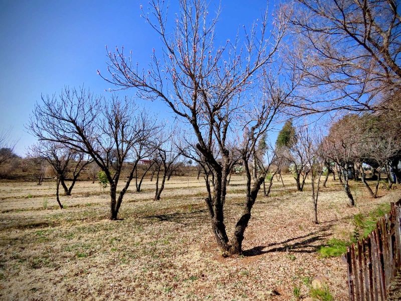 Farm For Sale in Ventersdorp Central - Photo 4