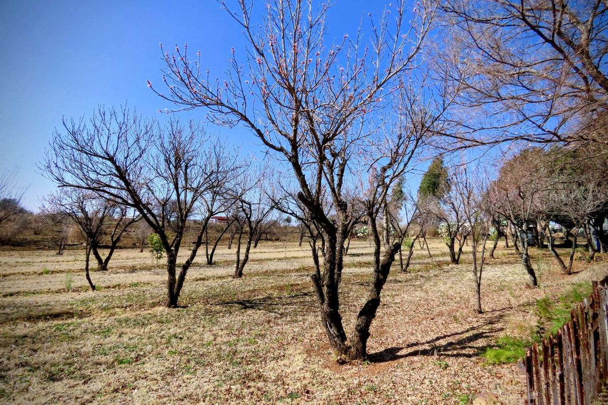 Farm For Sale in Ventersdorp Central - Photo 4