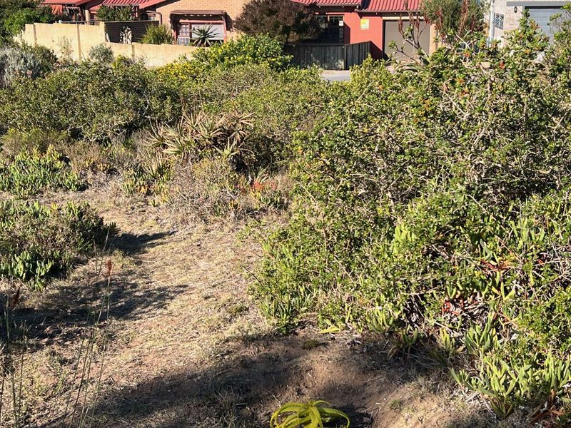 Vacant Land Residential For Sale in Boggomsbaai - Photo 9