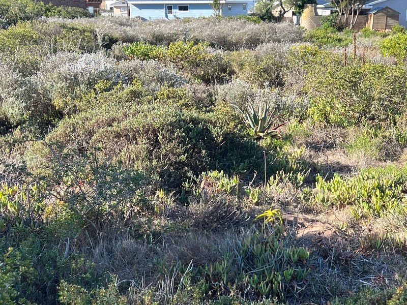 Vacant Land Residential For Sale in Boggomsbaai - Photo 8
