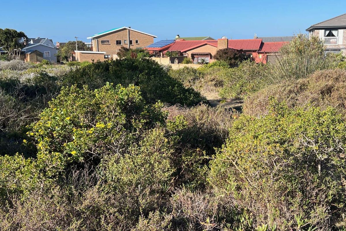 A view of a vacant residential plot featuring native coastal vegetation with established residential properties visible in the background.