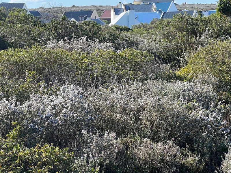 Vacant Land Residential For Sale in Boggomsbaai - Photo 10