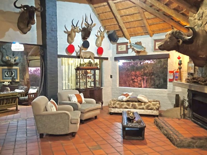 Farm For Sale in Gravelotte Central - Photo 5