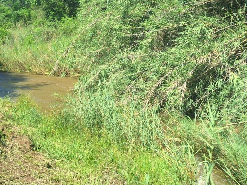 Farm For Sale in Hekpoort - Photo 2