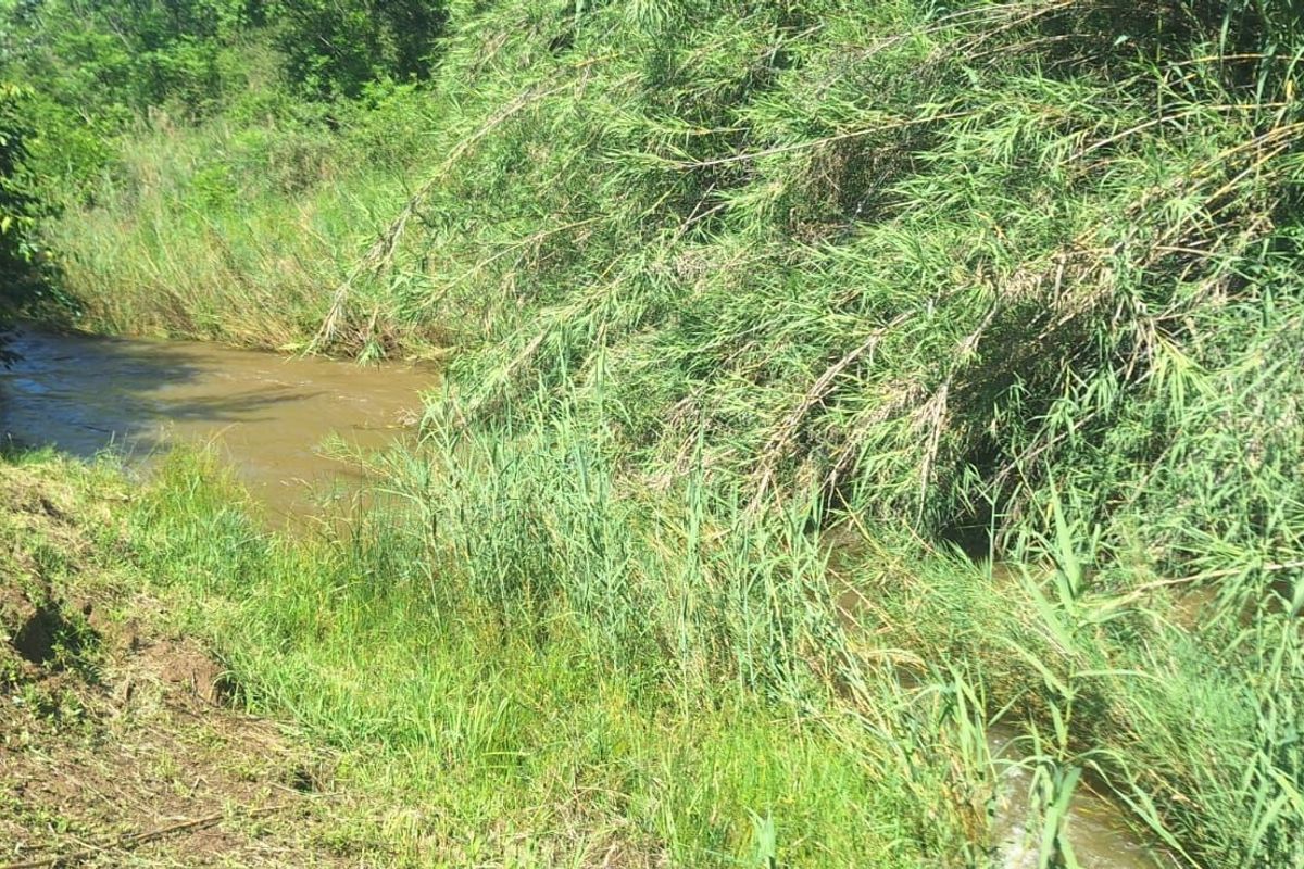 Farm For Sale in Hekpoort - Photo 2