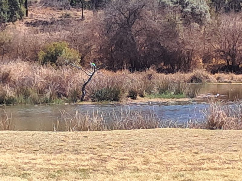 House For Sale in Bela Bela Rural - Photo 8