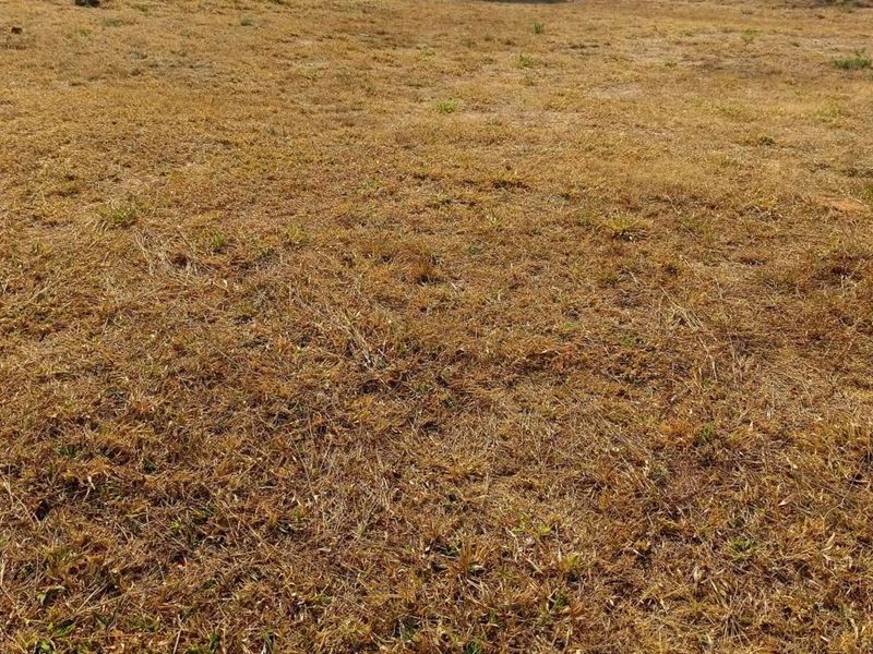 Vacant Land Residential For Sale in Woodhill Estate - Photo 4