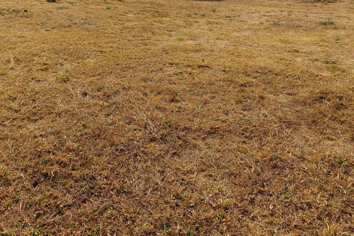 Vacant Land Residential For Sale in Woodhill Estate - Photo 4