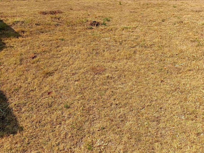 Vacant Land Residential For Sale in Woodhill Estate - Photo 5