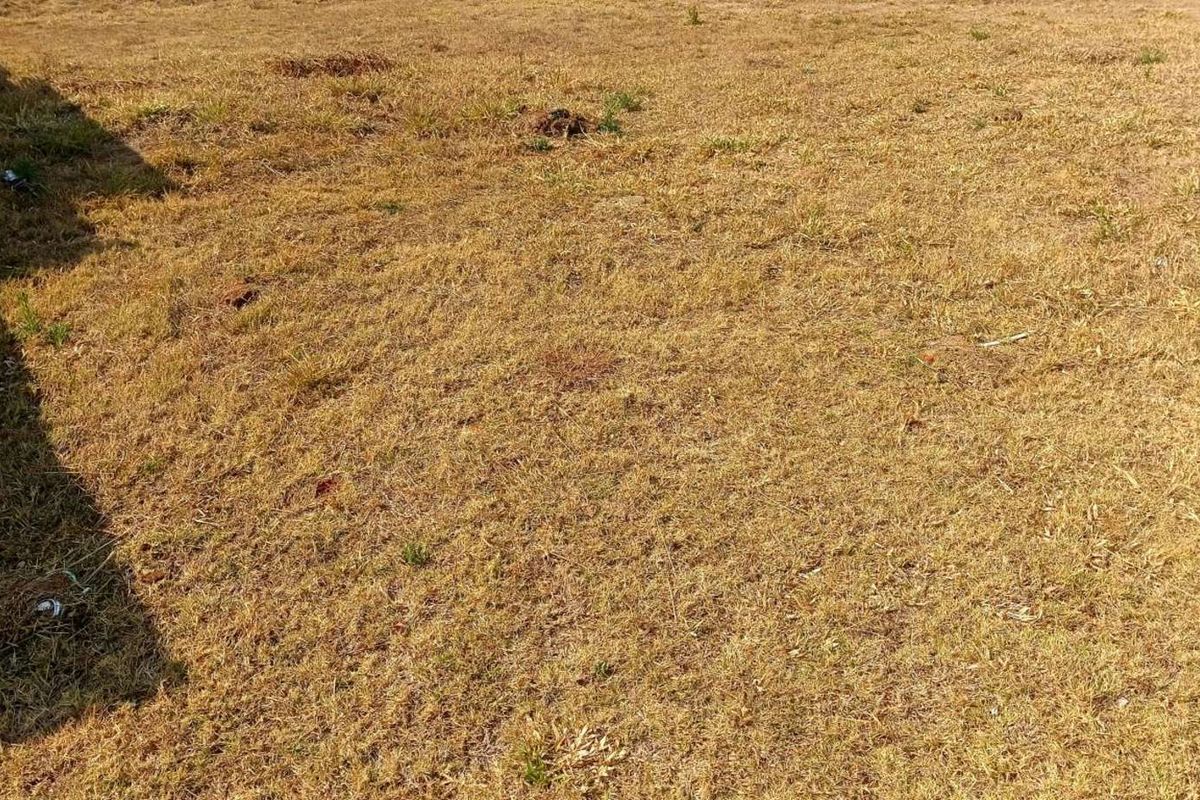 Vacant Land Residential For Sale in Woodhill Estate - Photo 5