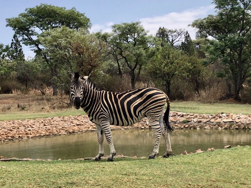 House For Sale in Roodepark Eco Estate - Photo 3