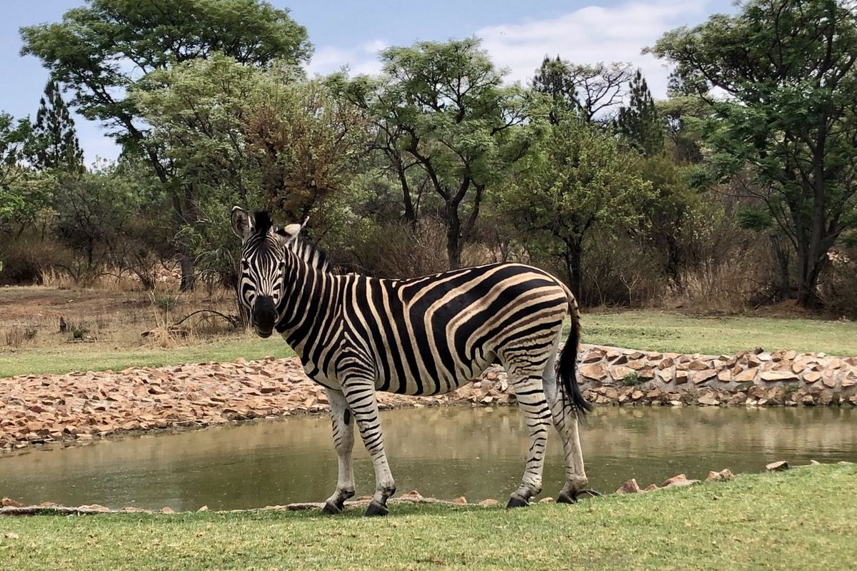 House For Sale in Roodepark Eco Estate - Photo 3