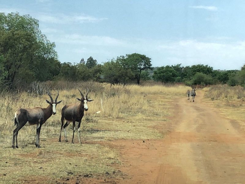 House For Sale in Roodepark Eco Estate - Photo 4
