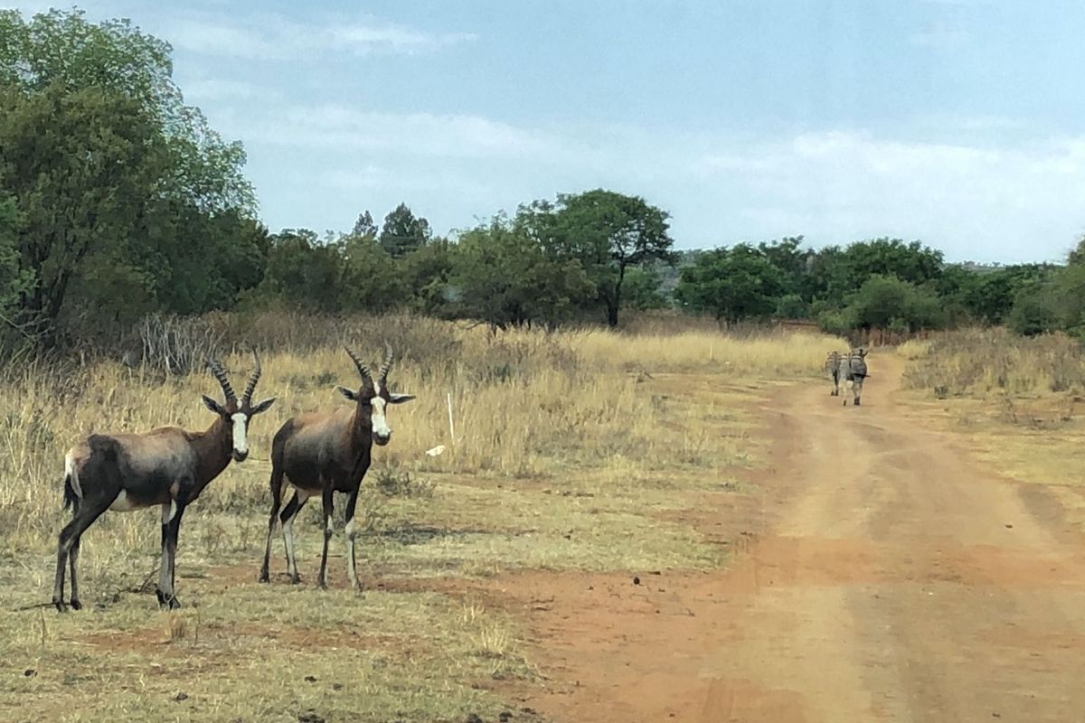 House For Sale in Roodepark Eco Estate - Photo 4