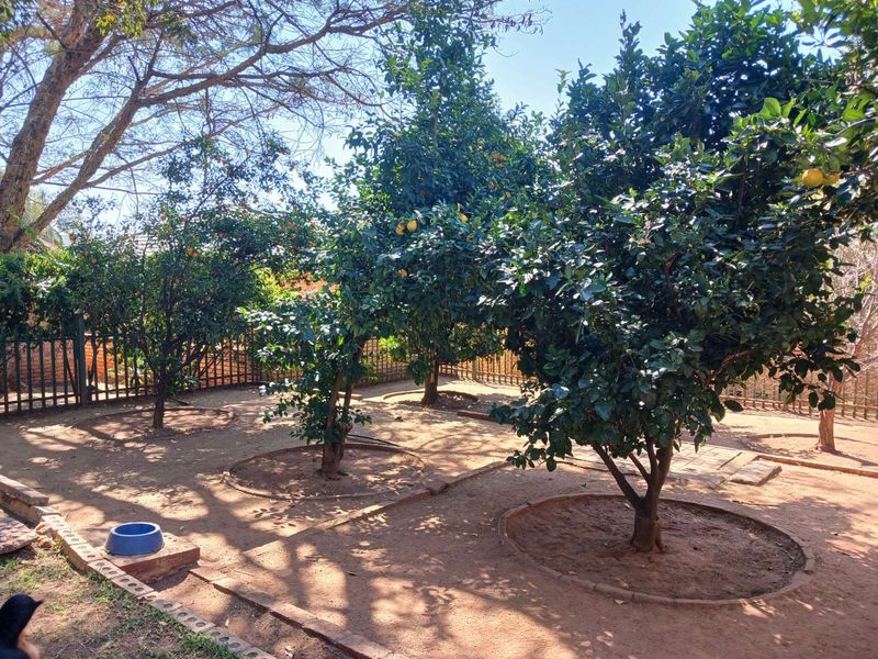 Townhouse For Sale in Bela Bela Central - Photo 8