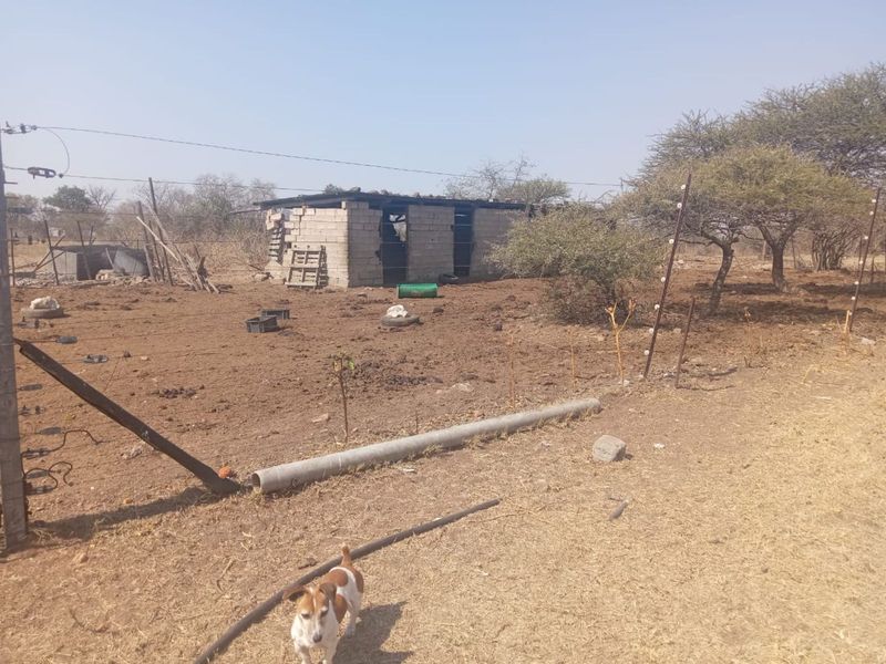 Farm For Sale in Tweefontein AH - Photo 7