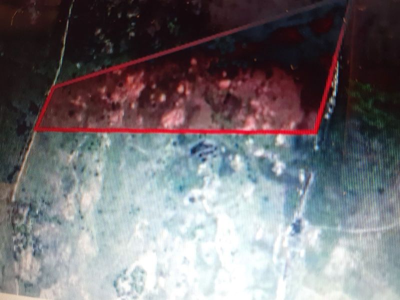 Farm For Sale in Badplaas Central - Photo 2