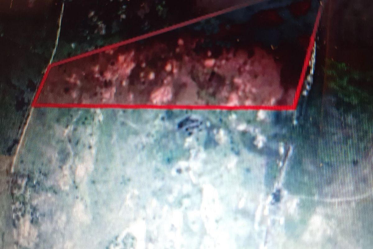 Farm For Sale in Badplaas Central - Photo 2