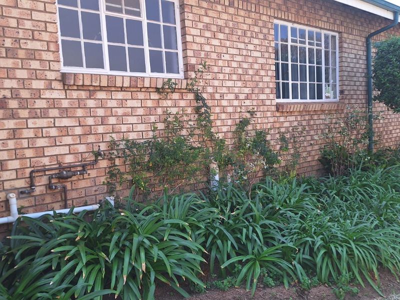 House For Sale in Bela Bela Central - Photo 8