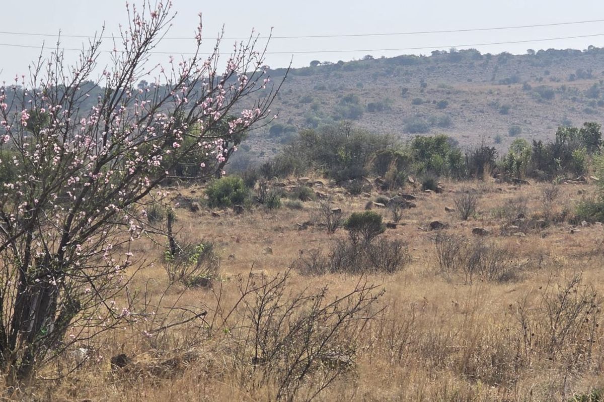 Vacant Land Residential For Sale in Vaal Marina Central - Photo 3