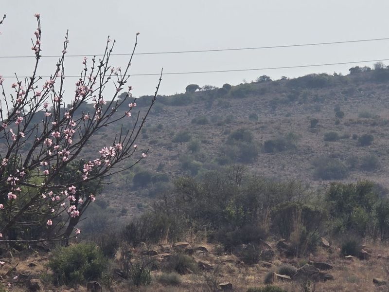 Vacant Land Residential For Sale in Vaal Marina Central - Photo 5