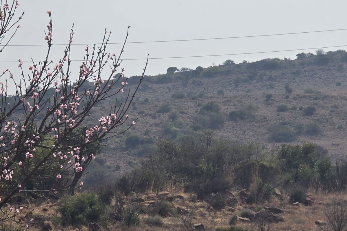 Vacant Land Residential For Sale in Vaal Marina Central - Photo 5