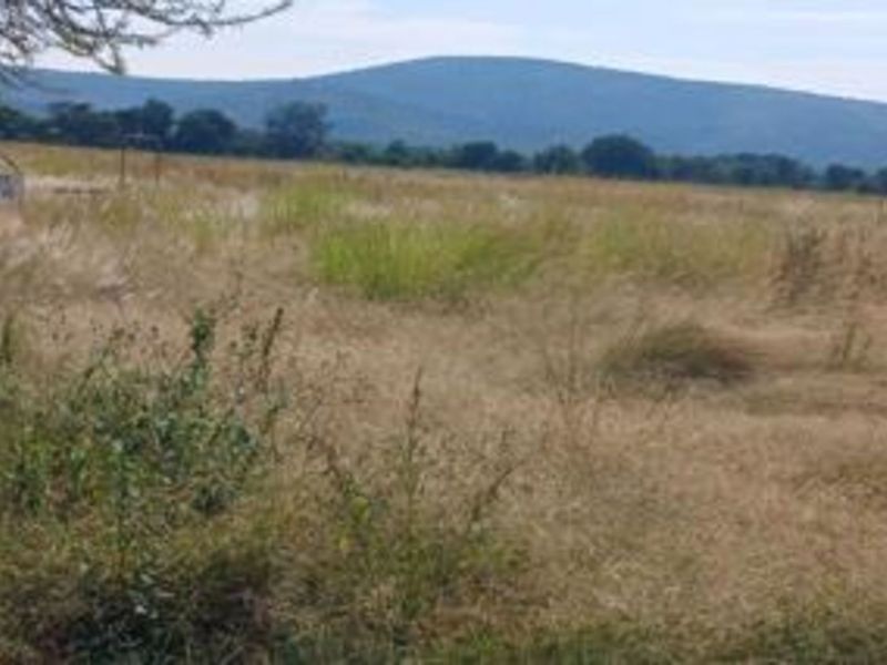 Farm For Sale in Bela Bela Rural - Photo 7