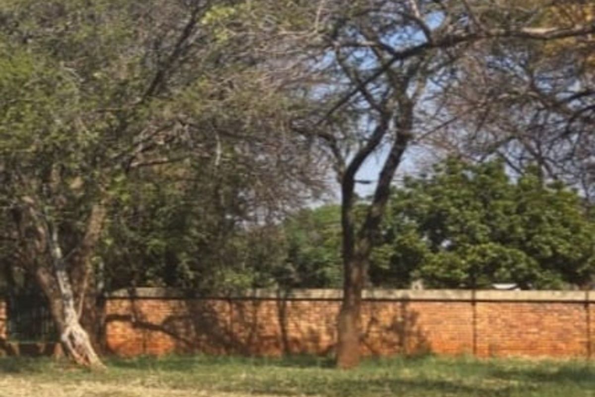 Vacant Land Residential For Sale in Mookgopong Central - Photo 3