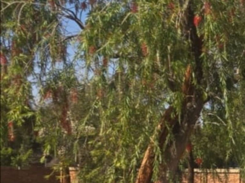 Vacant Land Residential For Sale in Mookgopong Central - Photo 3