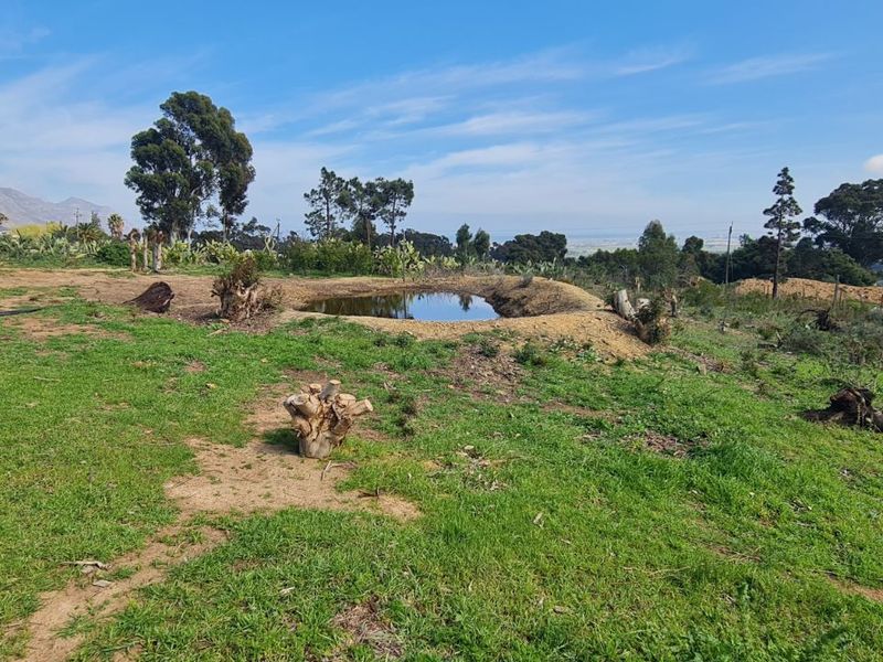 Farm For Sale in Firlands - Photo 5