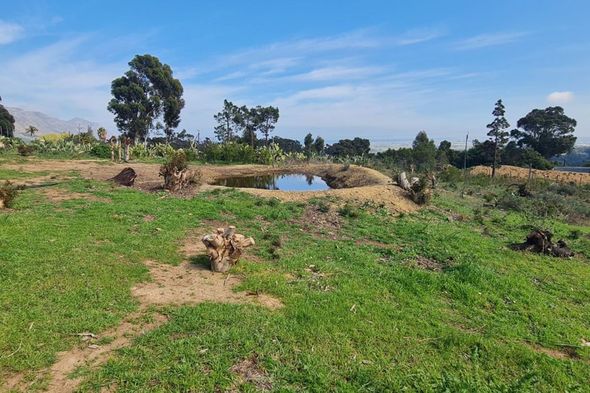 Farm For Sale in Firlands - Photo 5