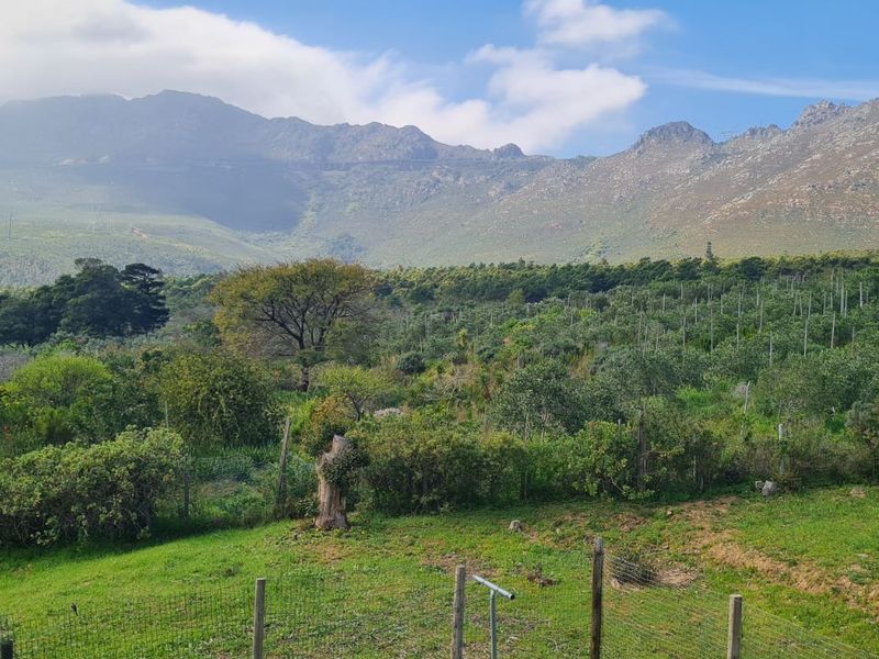 Farm For Sale in Firlands - Photo 7