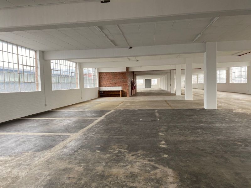 Industrial To Rent in Diep River - Photo 7
