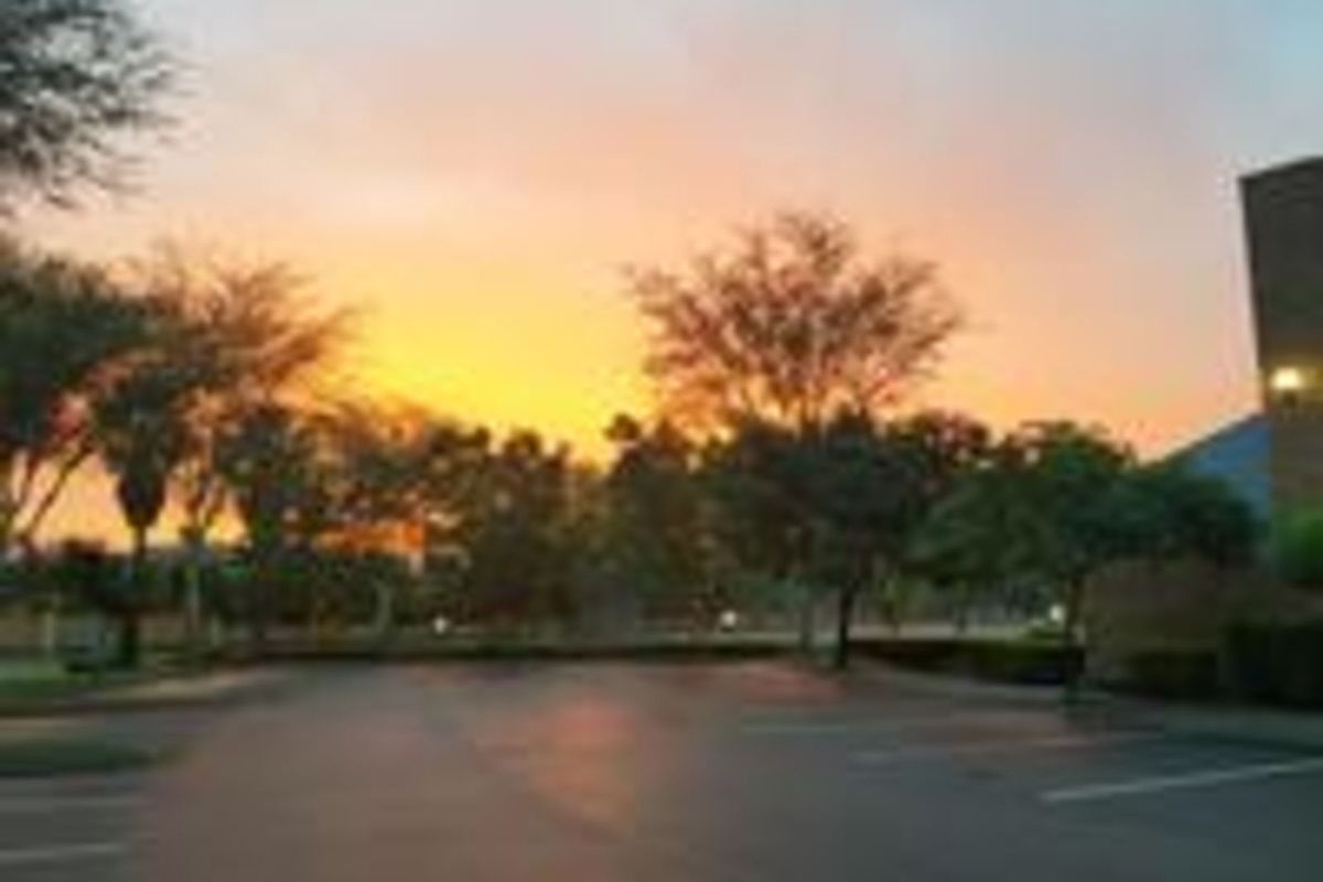 Townhouse For Sale in Equestria - Photo 4