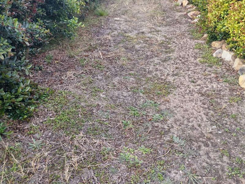 Vacant Land Residential For Sale in Dana Bay - Photo 2