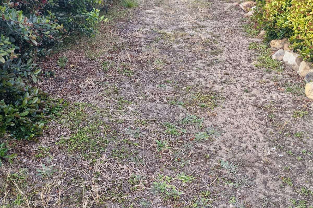 Vacant Land Residential For Sale in Dana Bay - Photo 2