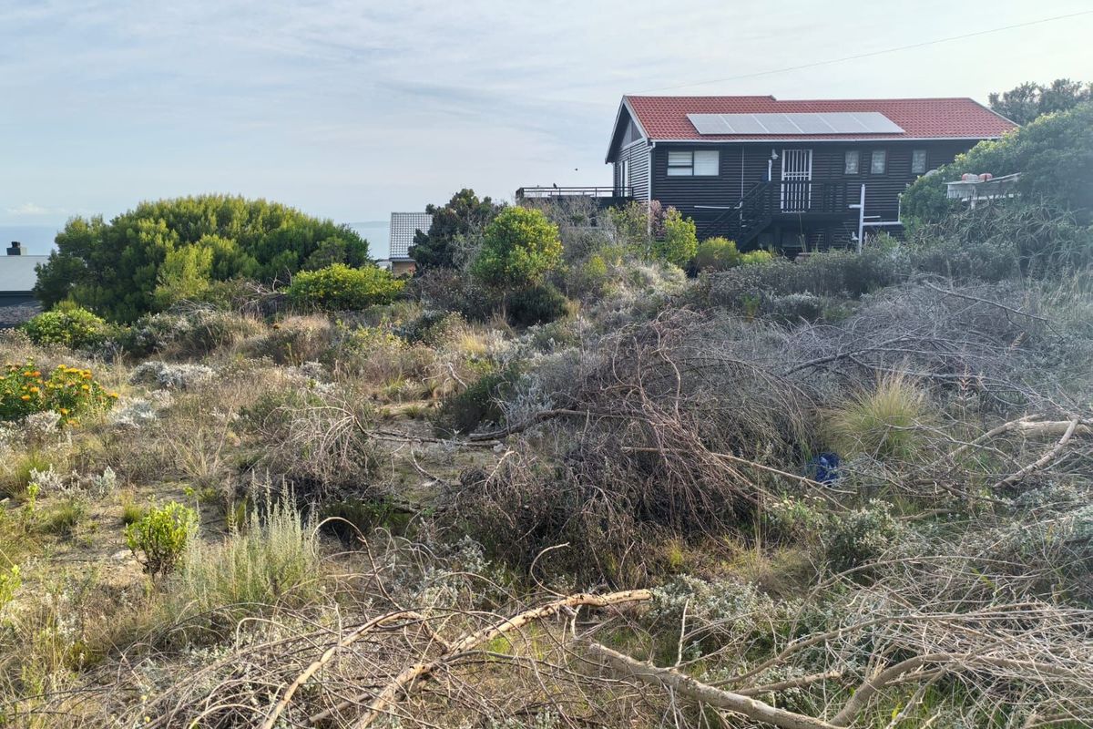 A view of a residential property set within a natural, undeveloped landscape featuring native coastal vegetation and shrubs.