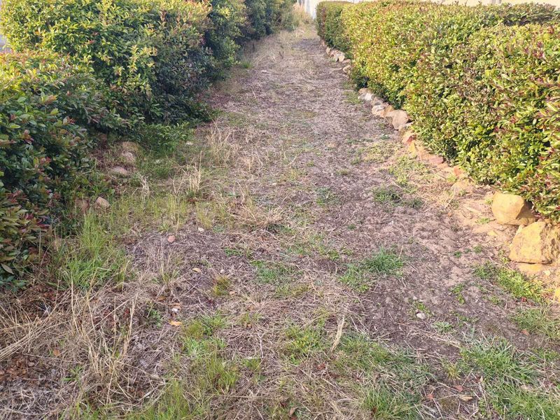 Vacant Land Residential For Sale in Dana Bay - Photo 1