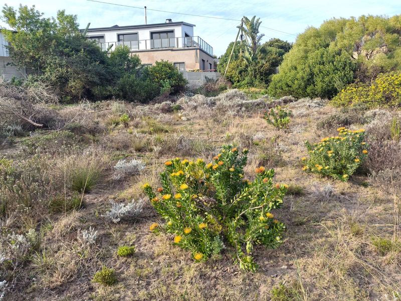 Vacant Land Residential For Sale in Dana Bay - Photo 10