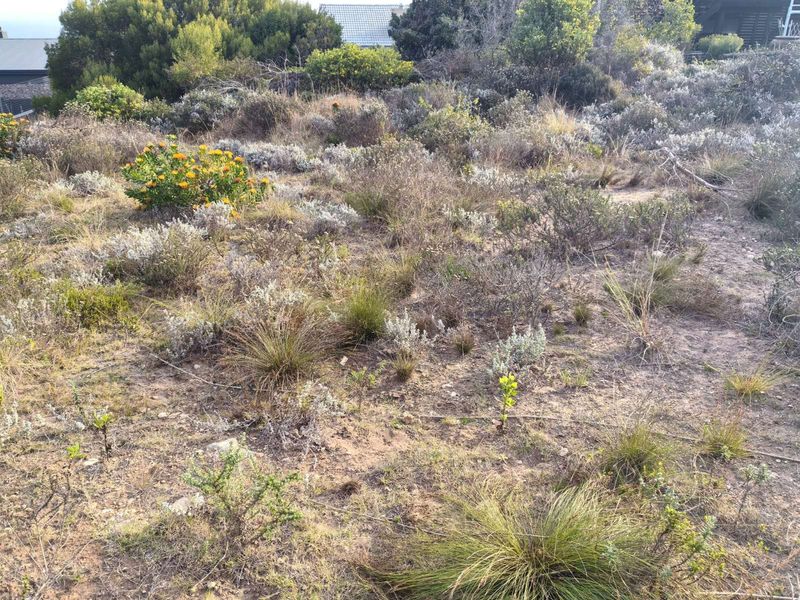Vacant Land Residential For Sale in Dana Bay - Photo 9