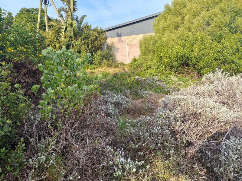 Vacant Land Residential For Sale in Dana Bay - Photo 7