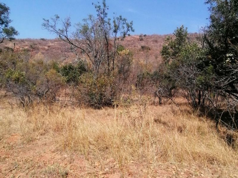 Vacant Land Residential For Sale in Bela Bela Central - Photo 5