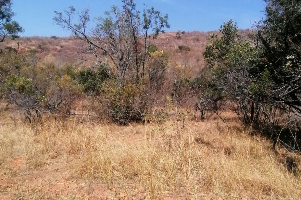 Vacant Land Residential For Sale in Bela Bela Central - Photo 5