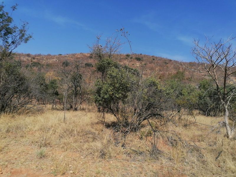 Vacant Land Residential For Sale in Bela Bela Central - Photo 4