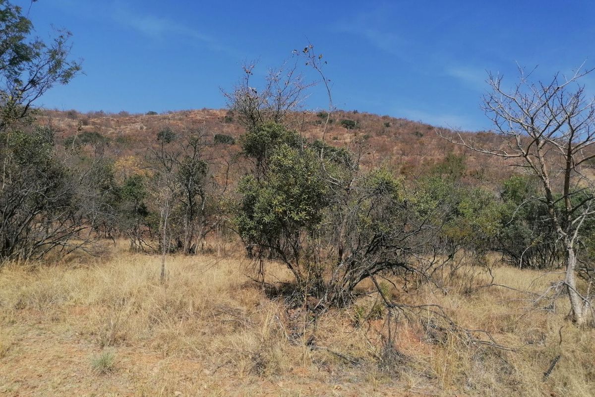 Vacant Land Residential For Sale in Bela Bela Central - Photo 4