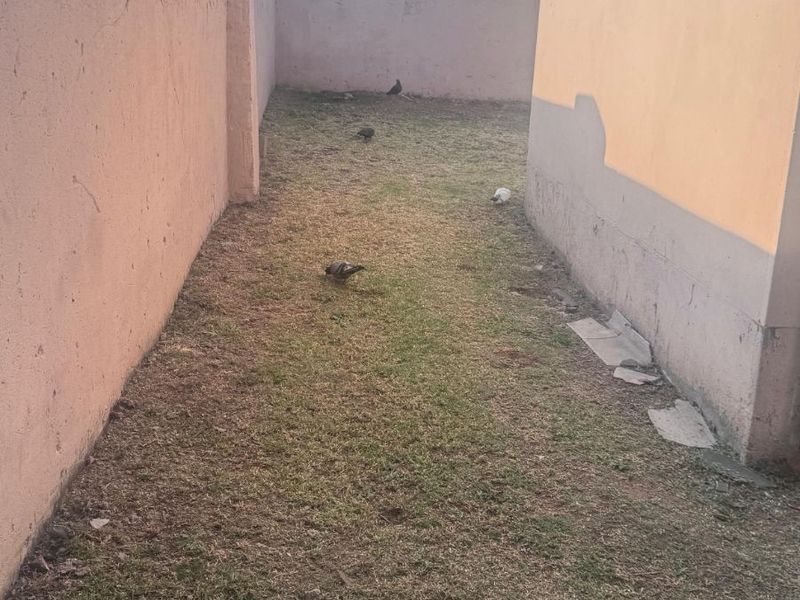 House For Sale in Tasbet Park - Photo 6