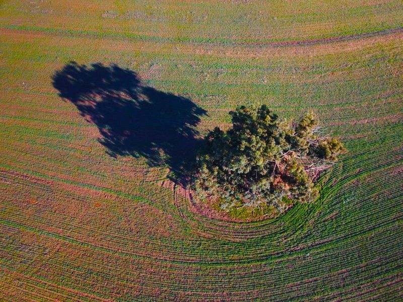 Vacant Land Residential For Sale in Mount Royal Golf Estate - Photo 6